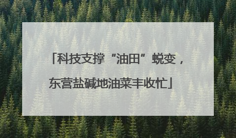 科技支撑“油田”蜕变，东营盐碱地油菜丰收忙